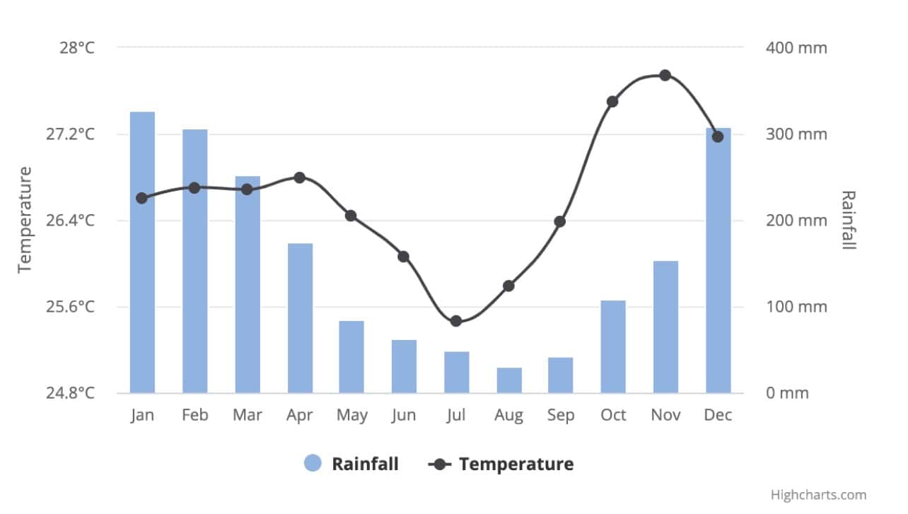Best Time to Visit Bali