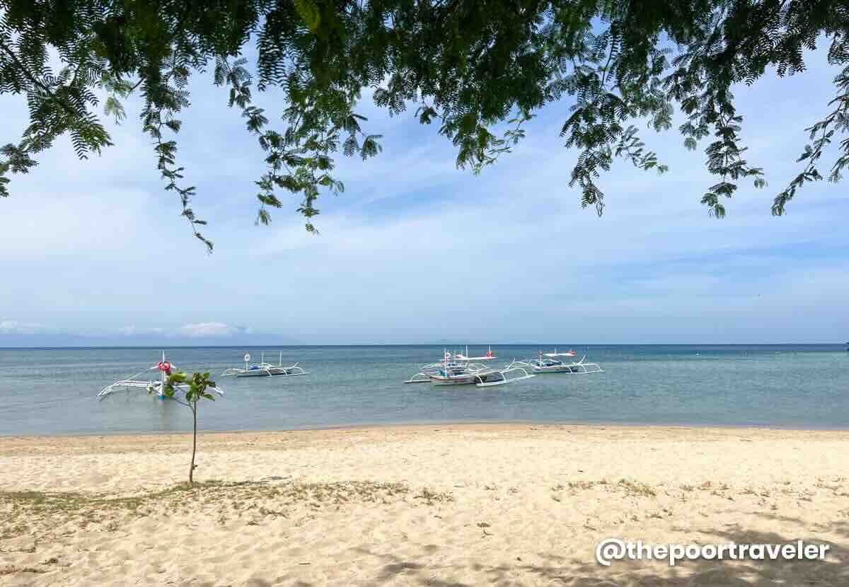 Manuel Uy Beach Boat Tour