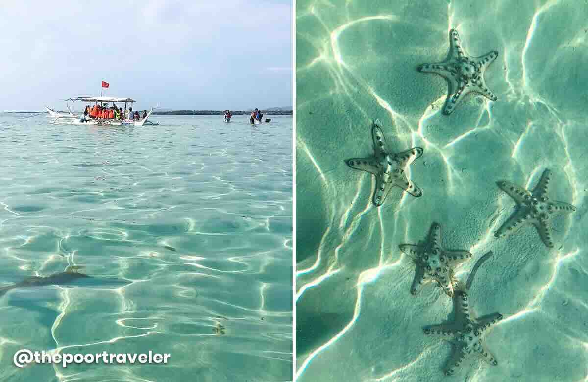 Starfish Island Calatagan